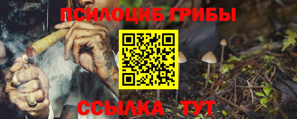 Псилоцибиновые грибы MAGIC MUSHROOMS  Вход с VPN  Псилоцибиновые грибы мухоморы  купить наркотики сайты  Ижевск 